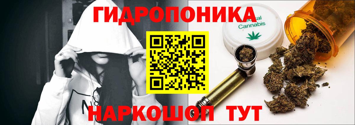Шишки марихуана планчик Аша